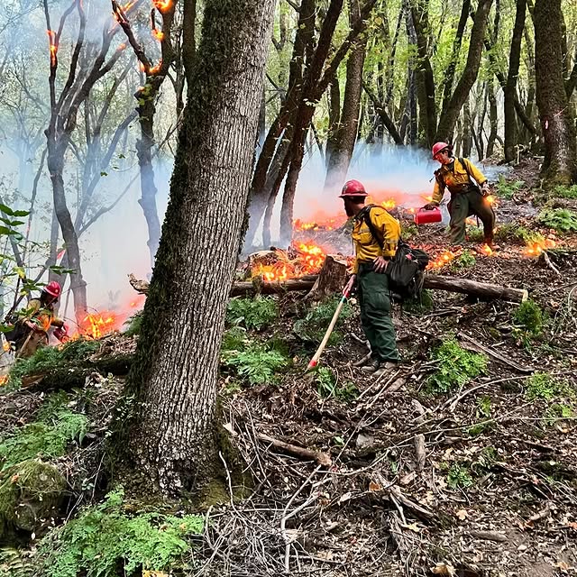 Post by redding_hotshots