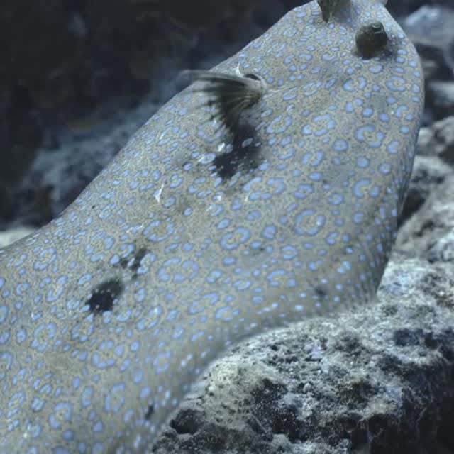 Post by jakemasondiving