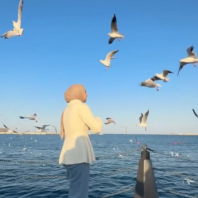 Post by sarahabusadeh