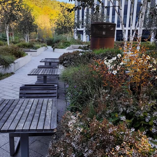 Post by rasalaurinaviciene