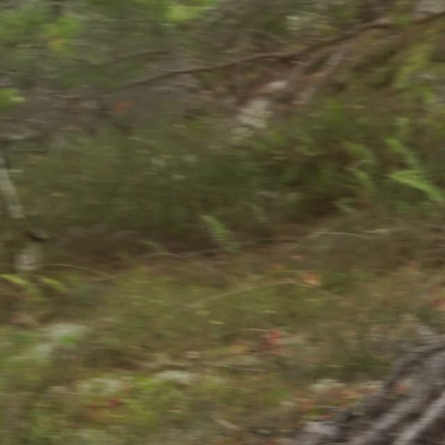 Post by outdoor_nordic