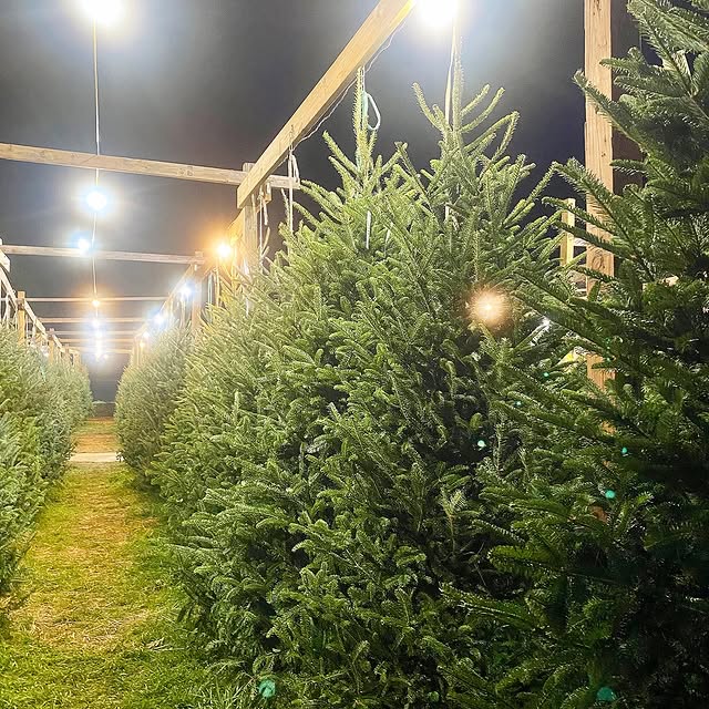 Post by sharedbelongings