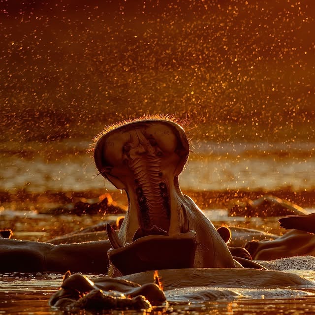 Post by realholidays