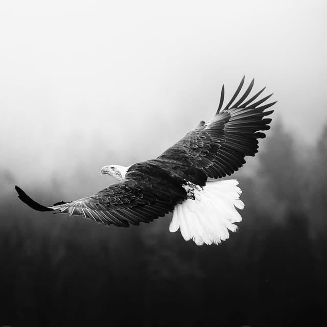 Post by brianmsabourin