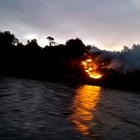 Post by incendiosforestalesargentina