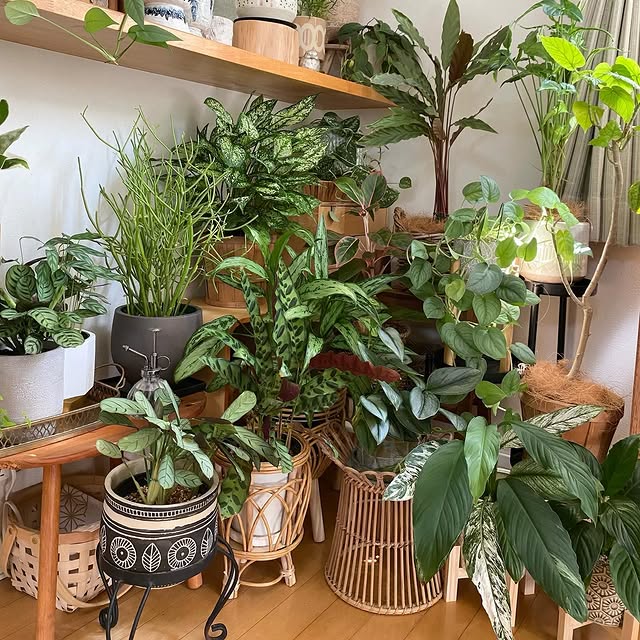 Post by time_with_liberty