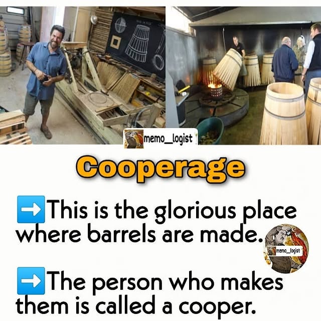 Post by memo__logist