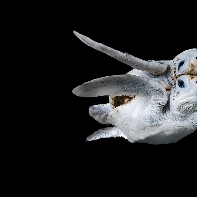 Post by jakewiltonphoto