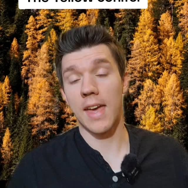 Post by nathandickeson