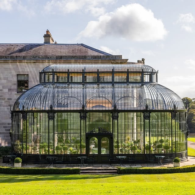 Post by edenrowegardens