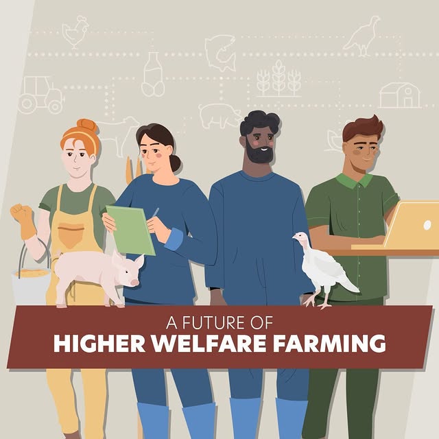 Post by rspcaaustralia