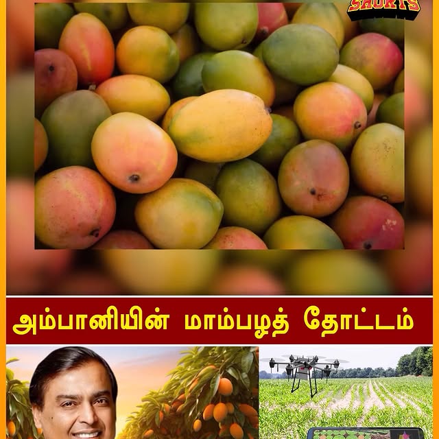 Post by business.tamizha