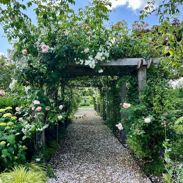 Post by joeperkinsdesign