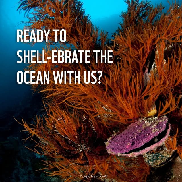 Post by marinestewards