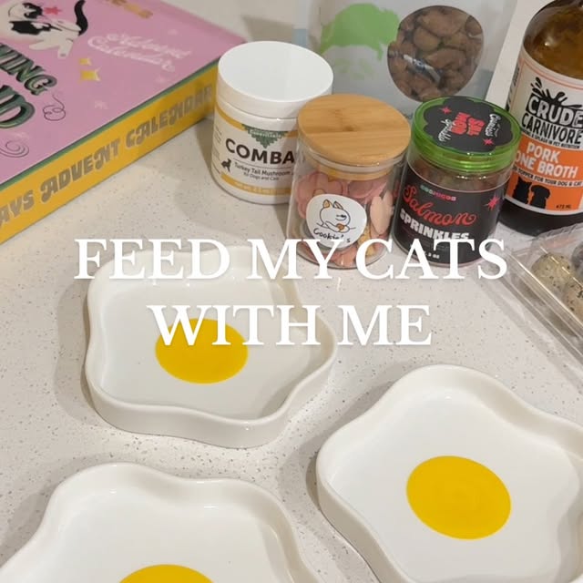 Post by simple.kitties