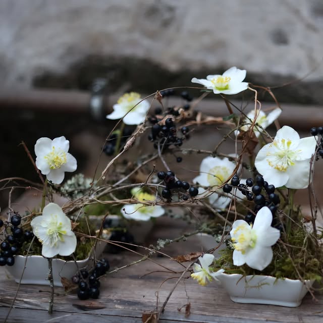 Post by brodkorbsophie