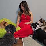 Foodie With Fur Daycare's profile picture