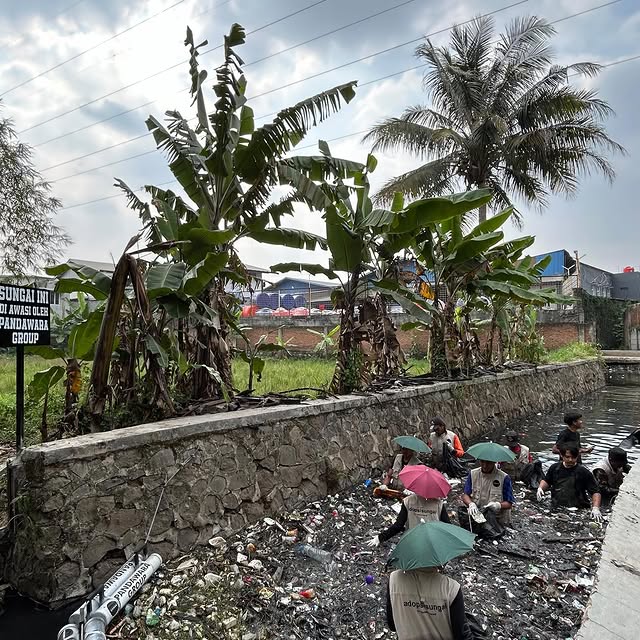 Post by pandawaragroup