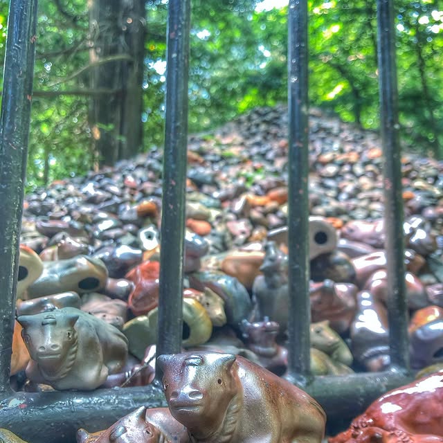 Post by 8092okayama_anime