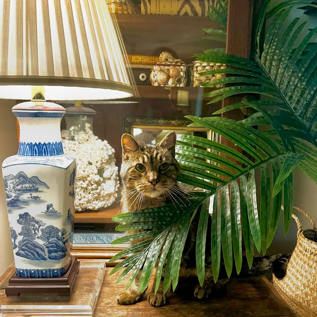 Post by polohousestyle