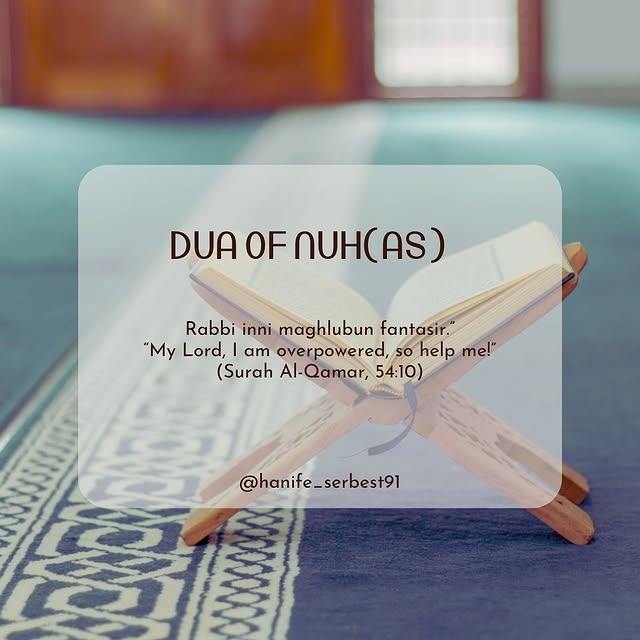 Post by hanife_serbest91