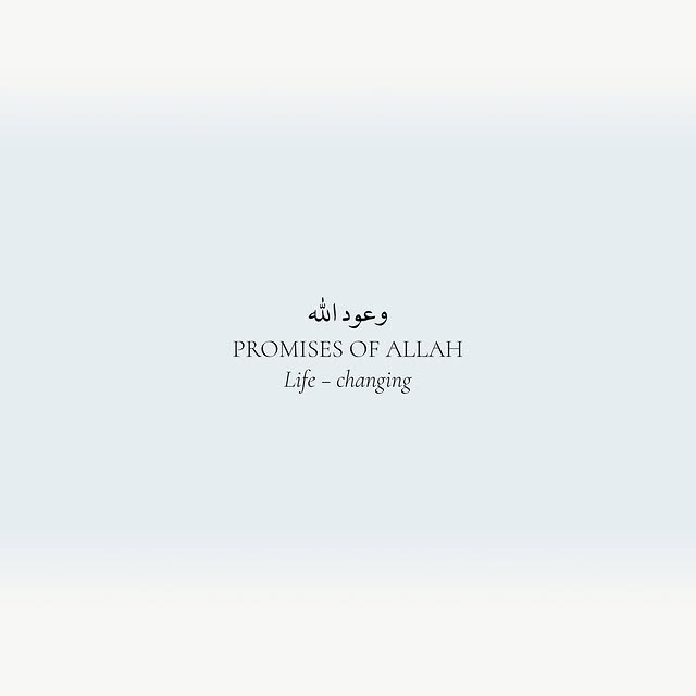 Post by devoutedmuslim