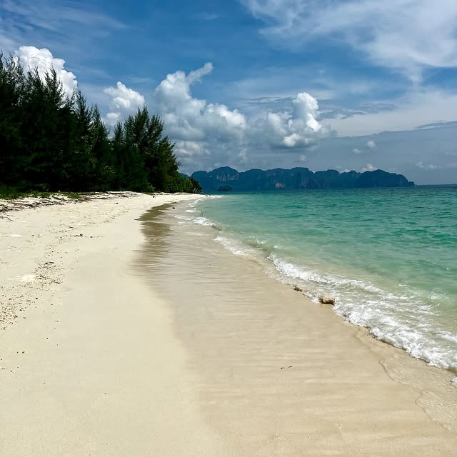 Post by exploringwithgreen