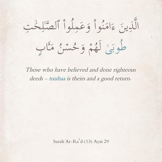 Post by toobaa_singapore