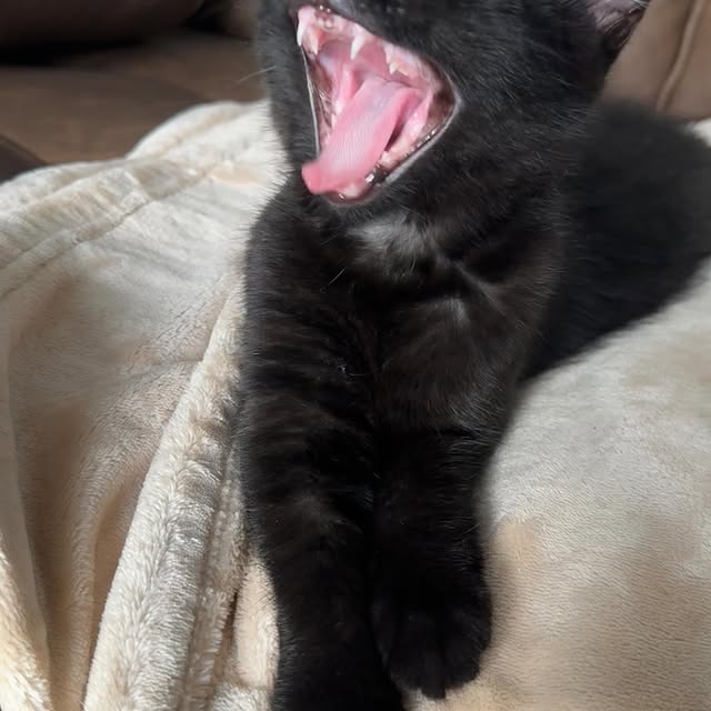 Post by cloudyhendry