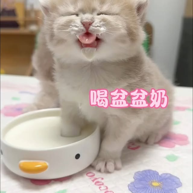 Post by landyliu0610