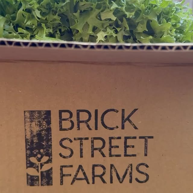 Post by brickstreetfarms