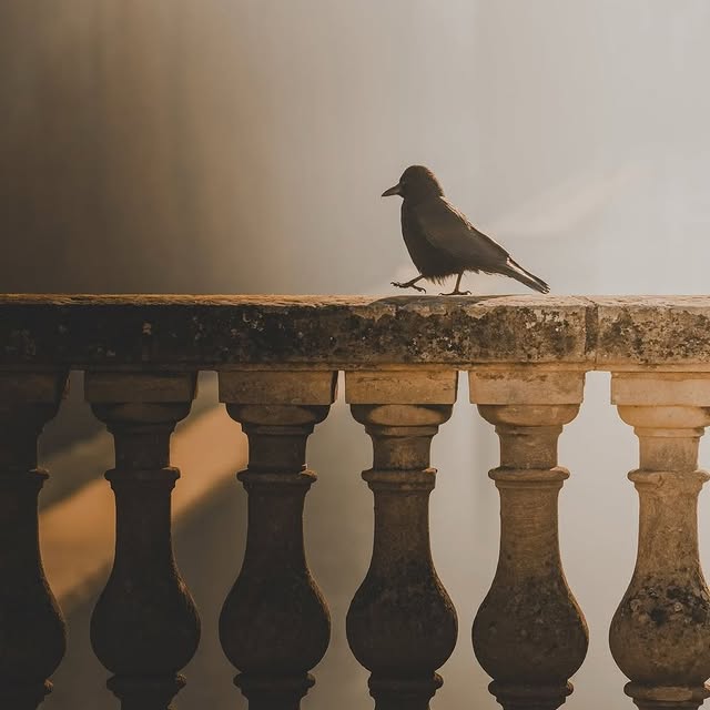 Post by domainedesceaux