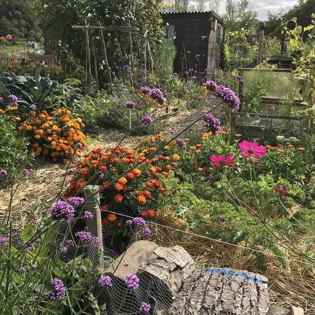 Post by natures_architects