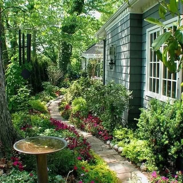 Post by thegardeningspirit