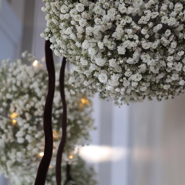 Post by lepahmi.living