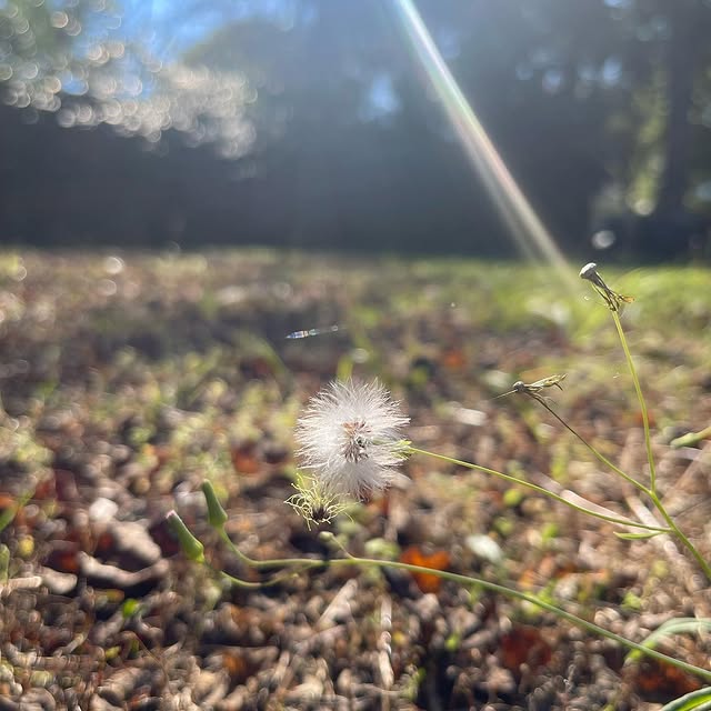 Post by bakely_allen034