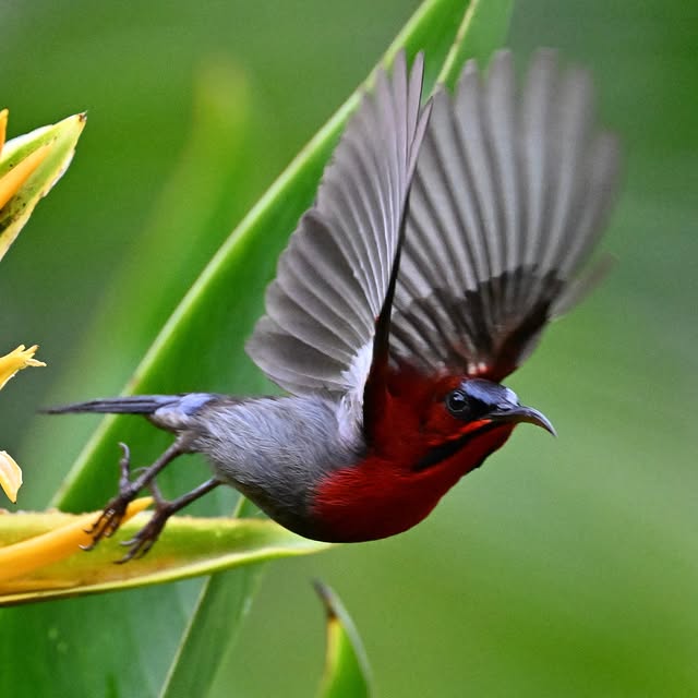 Post by overidesnaps