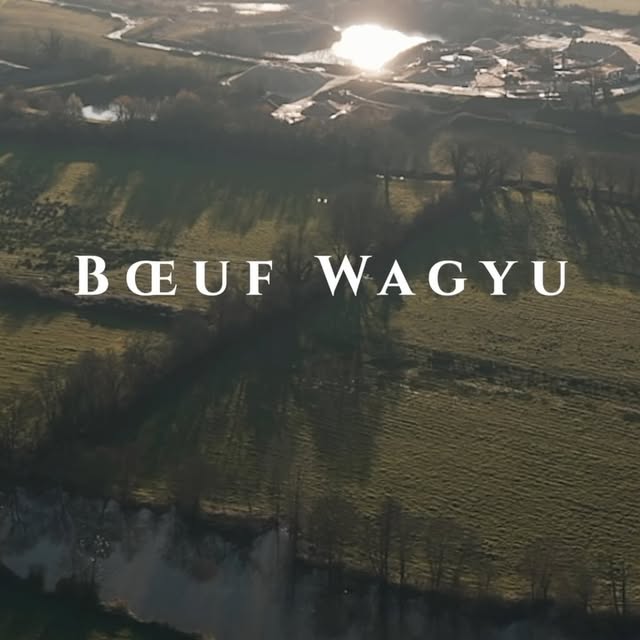 Post by christophehaychef