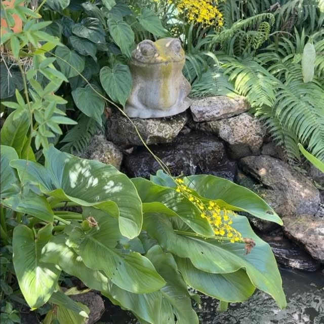 Post by taufferdeisi