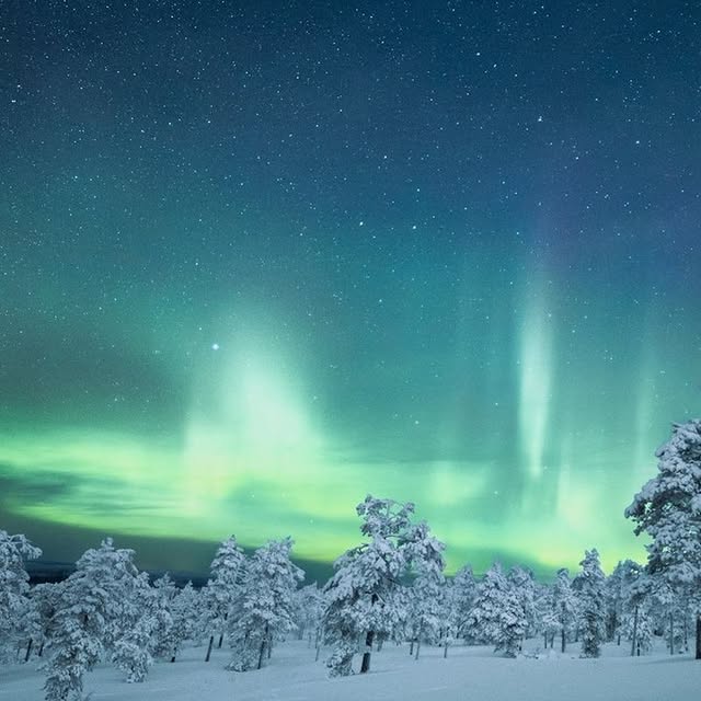 Post by realholidays