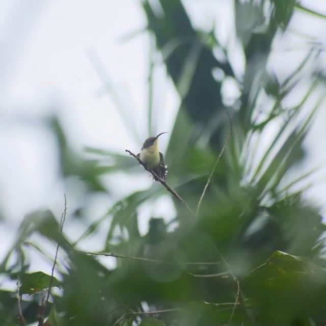 Post by suraksha_unfiltered