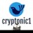 cryptonicone.soul's profile picture