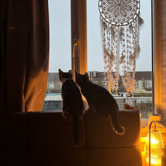 Post by florence.simpsonn