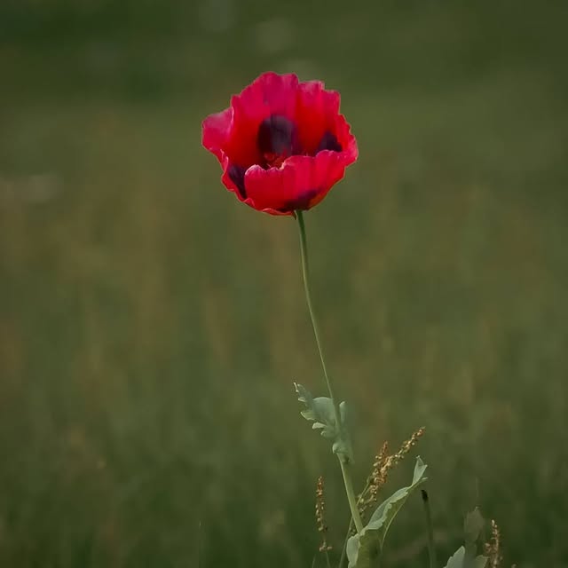 Post by our_country_life_photography