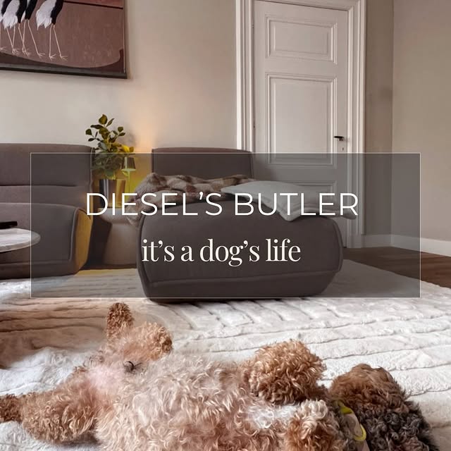 Post by whisperingbold