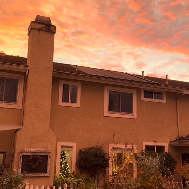 Post by rootedinthyme