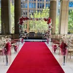 Rupali Nath's profile picture