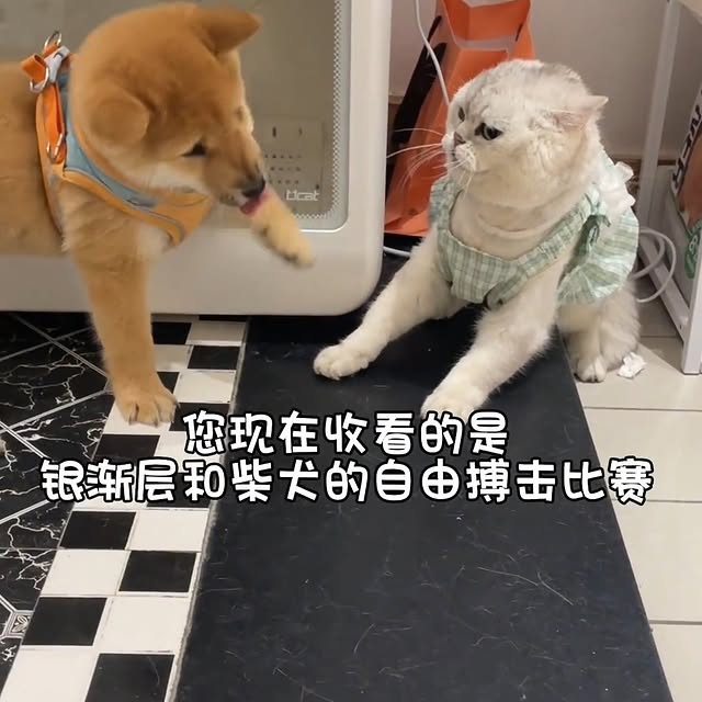 Post by landyliu0610