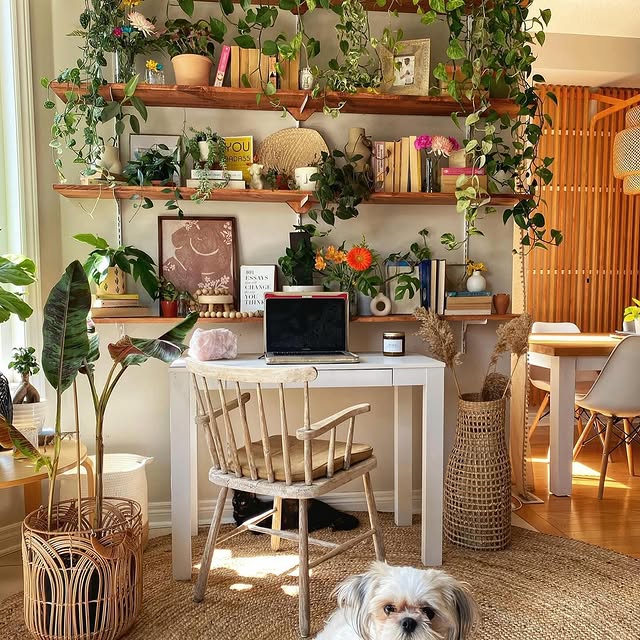 Post by peoplewithplants_official