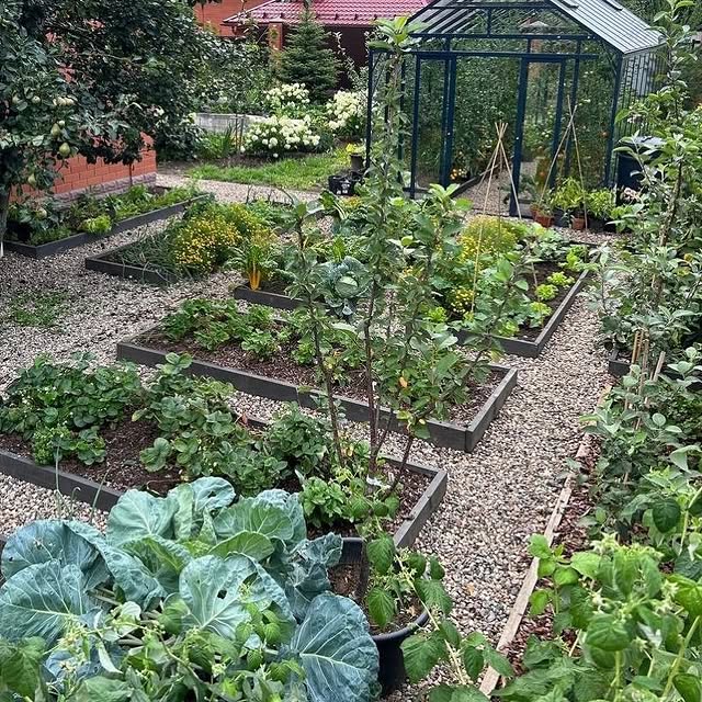 Post by natures_architects